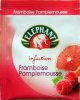 Lipton Elephant F Infusion Framboise Pamplemousse - a