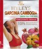 Hyleys Garcinia Cambogia Green tea Pomegranate - a