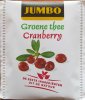 Jumbo Groene thee Cranberry - a
