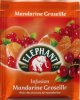 Lipton Elephant F Infusion Mandarine Groseille - a