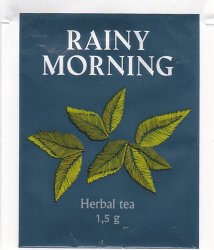 Etno Rainy Morning - a