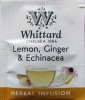 Whittard of Chelsea Herbal Infusion Lemon Ginger & Echinacea - a