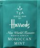 Harrods Tea New World Teasans North Africa Moroccan Mint - a