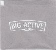 Big-Active - a