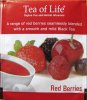Tea of Life Red Berries - a